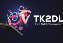 How to Use Tk2dl to Download TikTok Videos?: Step-by-Step Guide
